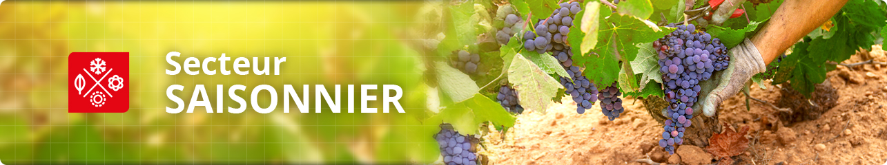 Banner saisonnier